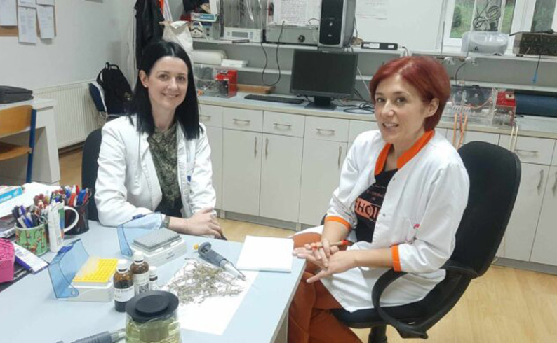 Fočanski farmakolozi spajaju narodnu sa savremenom medicinom - ljekobilje pod skenerom nauke