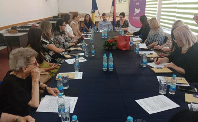 „Žene vode na putu mira i sigurnosti u BiH“