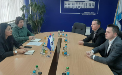 Podjela sadnica korak ka obnavljanju šljive