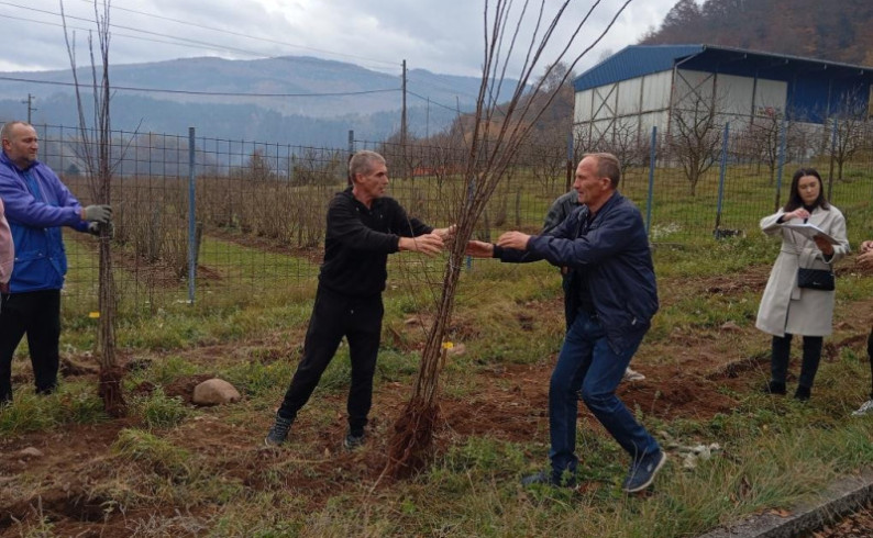 Podrška poljoprivrednicima: Nove sadnice za podmlađivanje voćnjaka