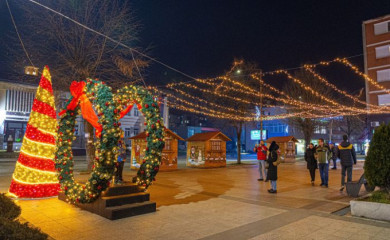 Foča presvučena u praznično ruho