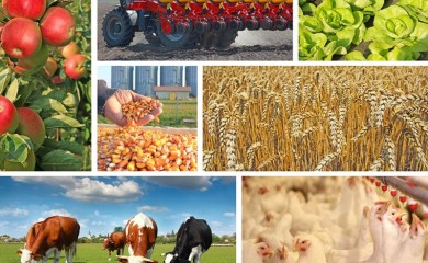 Raspisan javni poziv za kapitalne investicije u poljoprivrednoj proizvodnji