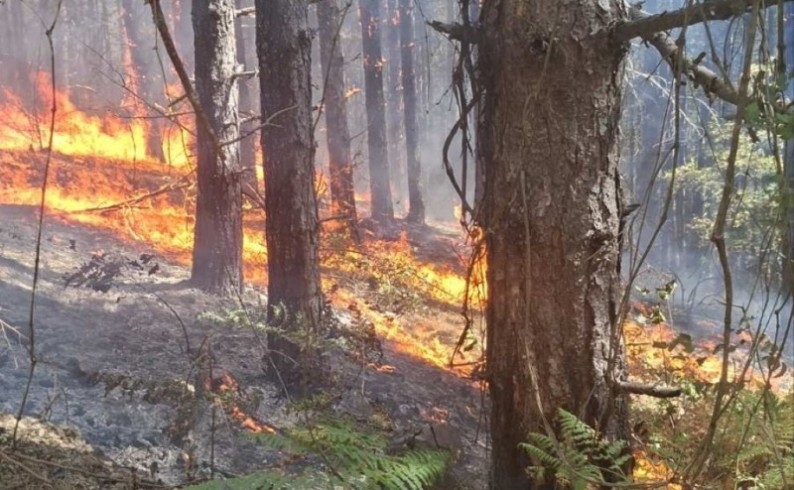Požari na dva lokaliteta