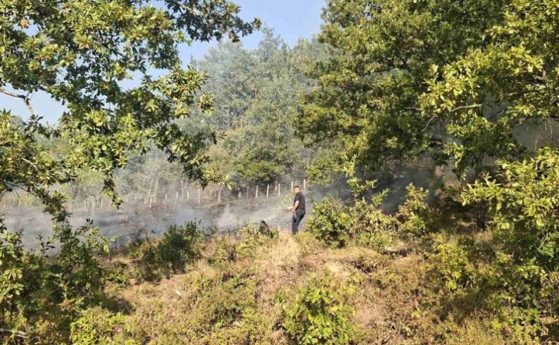 Požar u Gornjem Budnju stavljen pod kontrolu